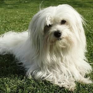 Meet your Posher, Suzanne